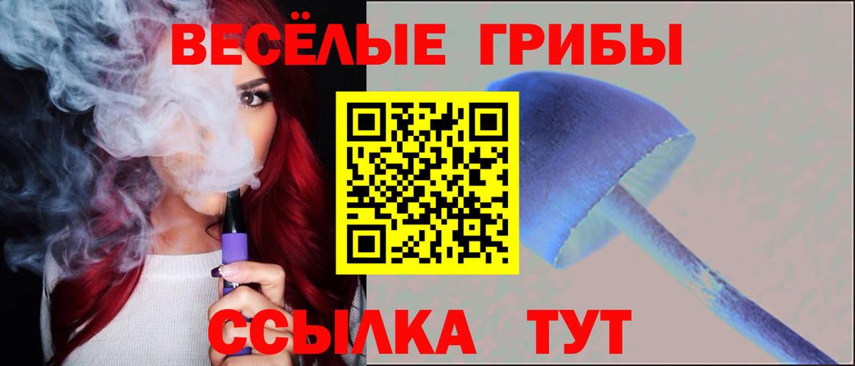 Галлюциногенные грибы ЛСД Арзамас