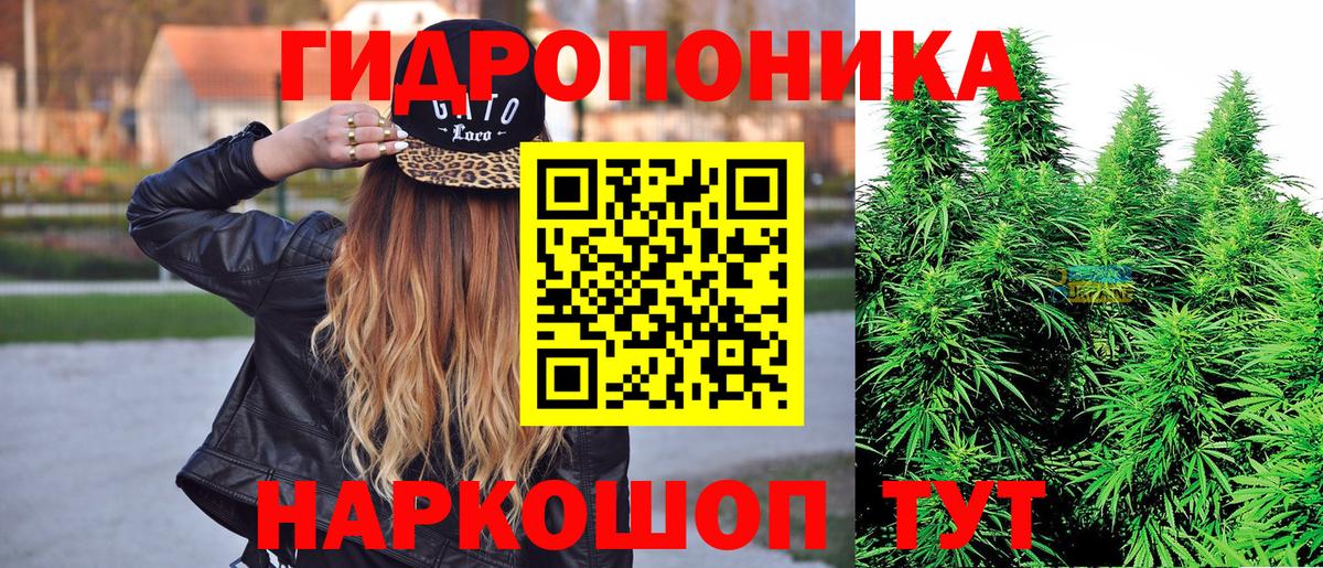 Канабис планчик  Вход с VPN  Арзамас  Каннабис SATIVA & INDICA  Шишки марихуана планчик 
